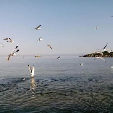 Peramos アパート *