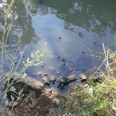 Peramos * Néa Péramos