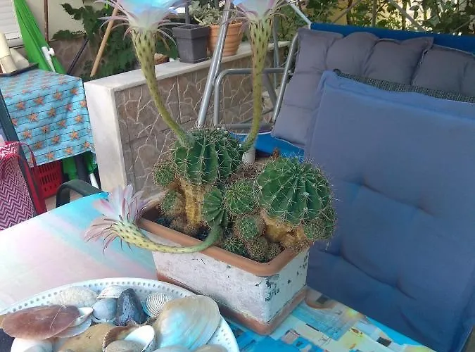 Apartamento Peramos Néa Péramos