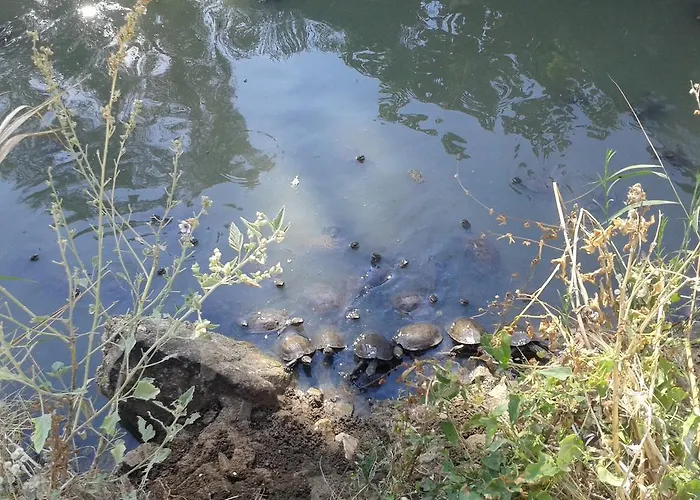 Peramos * Néa Péramos